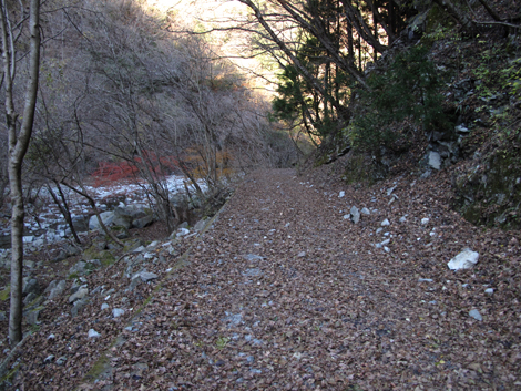 20161206hike (512)